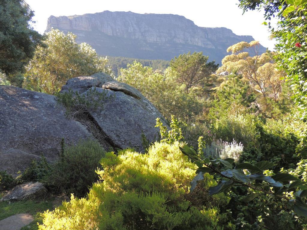Intaba Lodge Hout Bay Zewnętrze zdjęcie