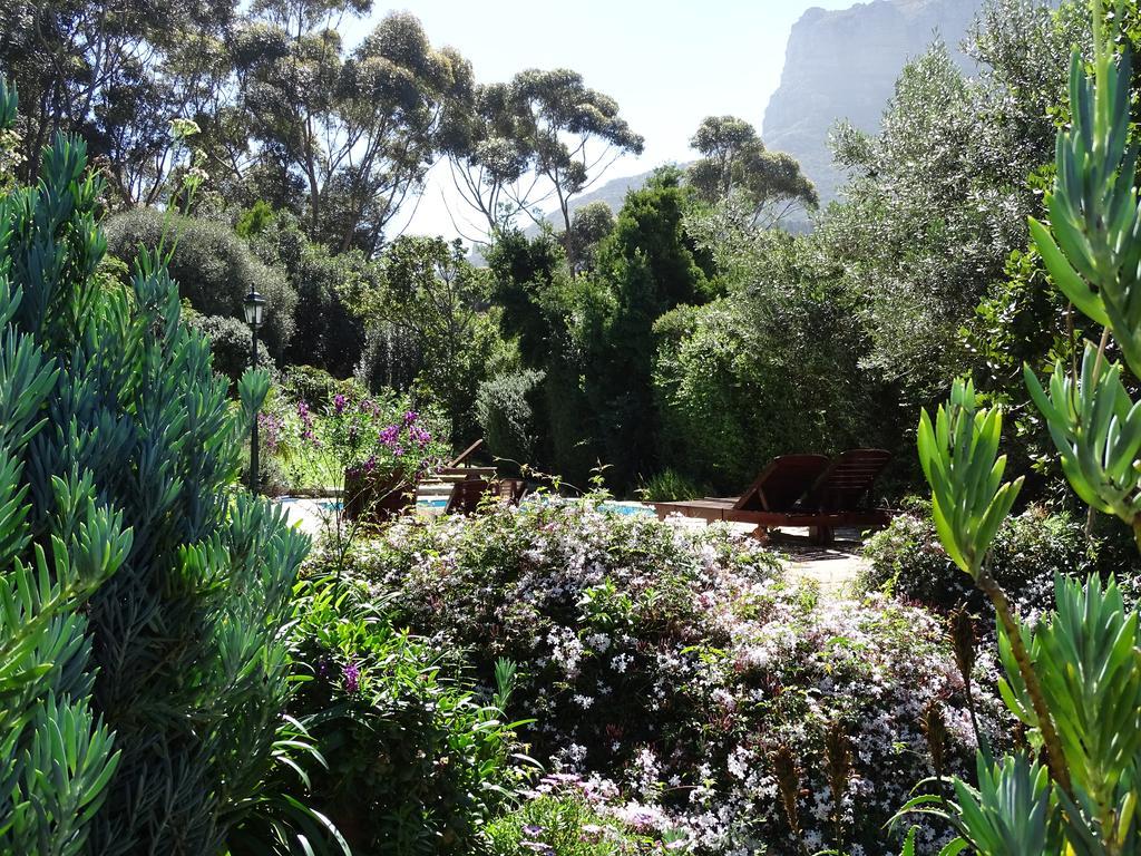 Intaba Lodge Hout Bay Zewnętrze zdjęcie