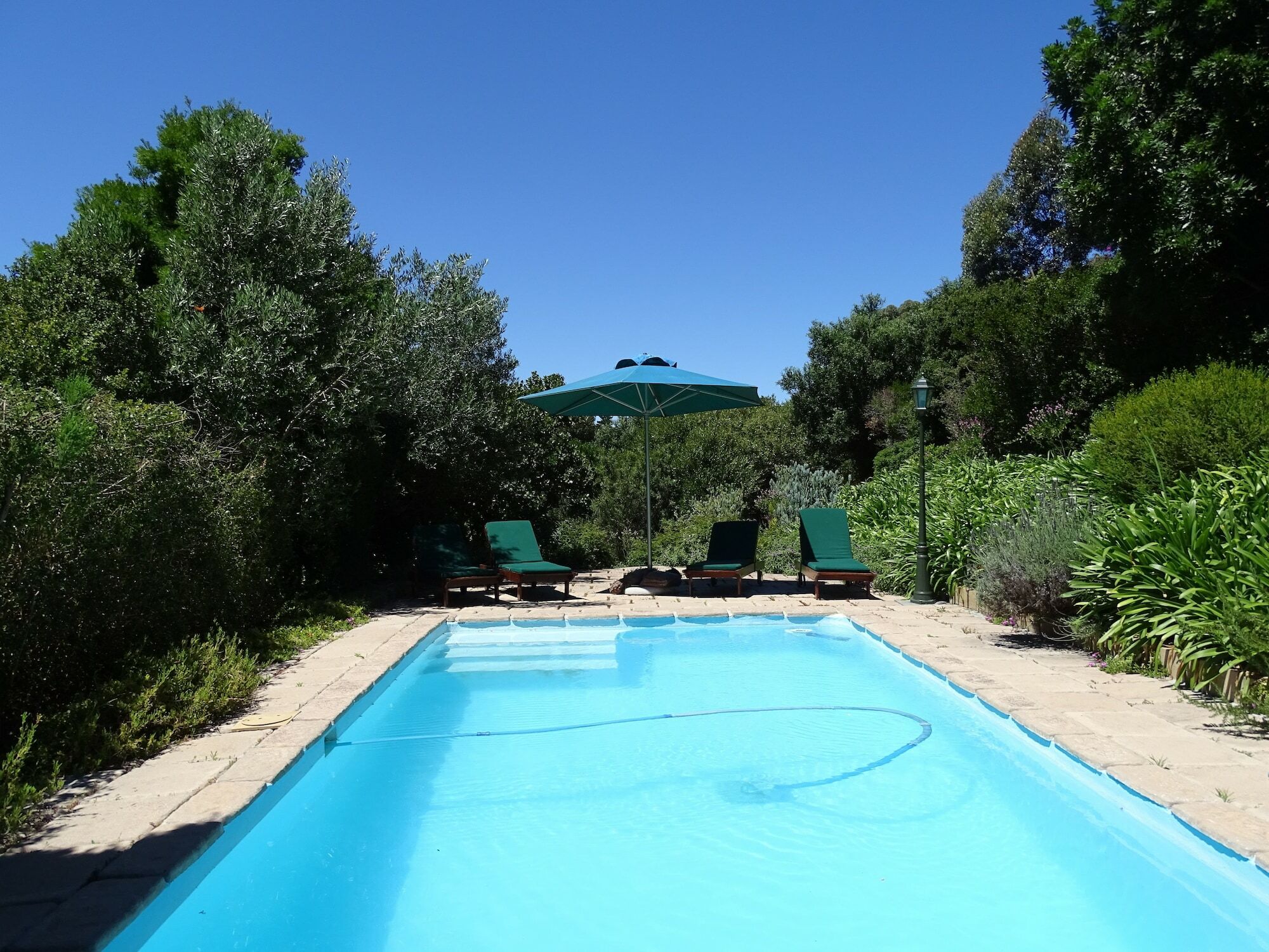 Intaba Lodge Hout Bay Zewnętrze zdjęcie