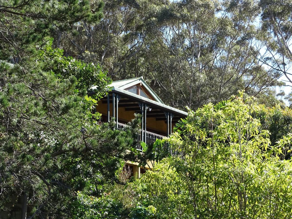 Intaba Lodge Hout Bay Zewnętrze zdjęcie